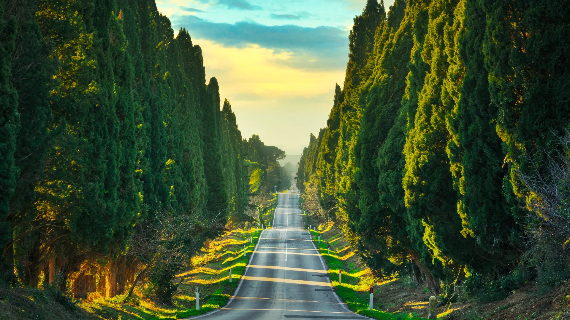 road of Bolgheri