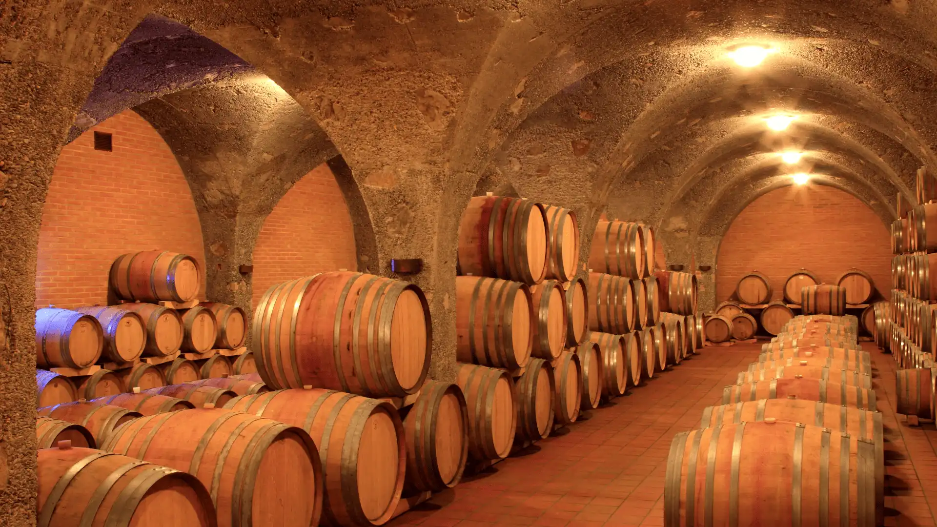 wine cellar in montalcino