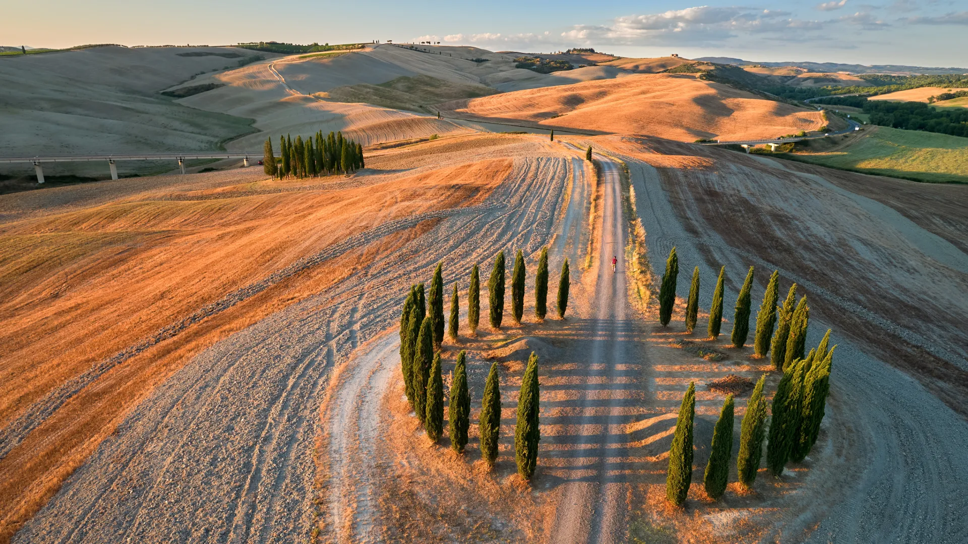 land in Montepulciano