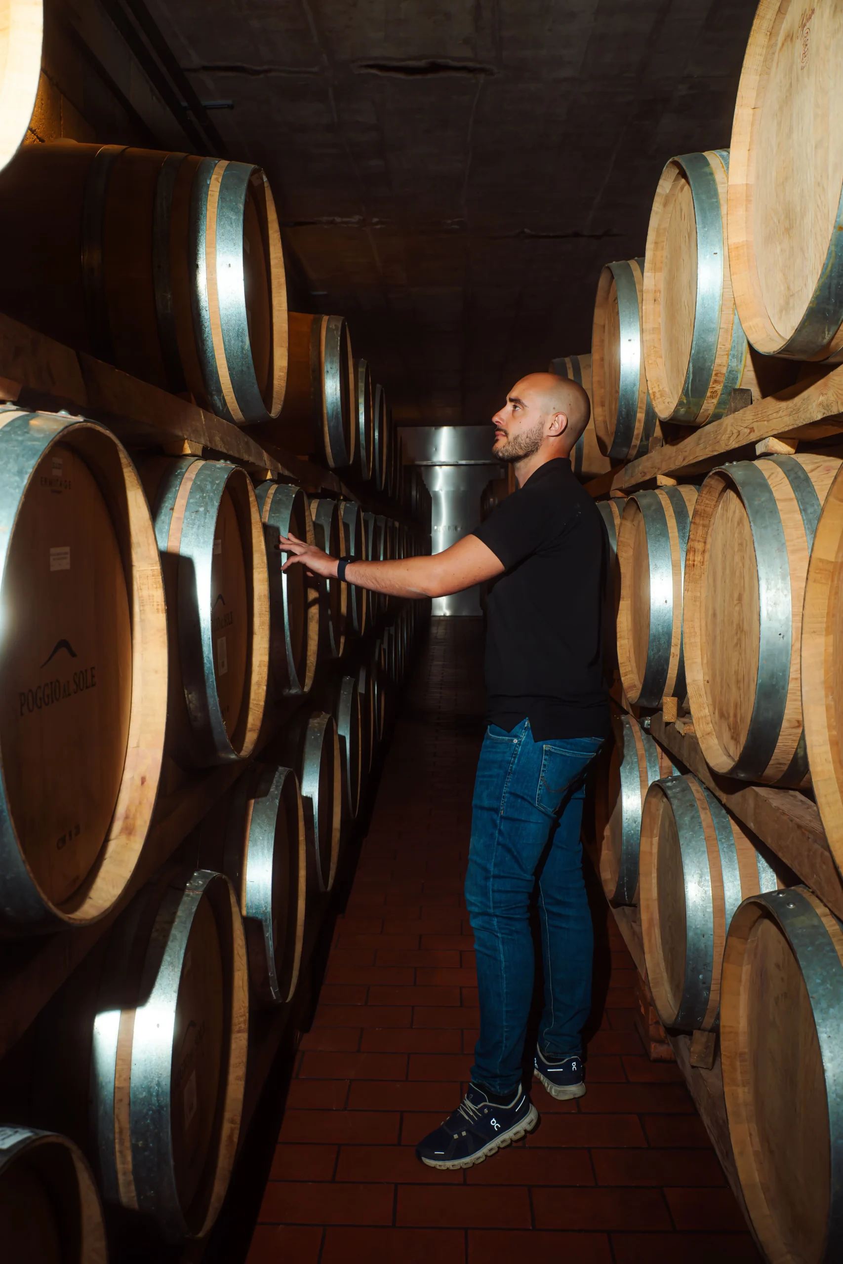 person looking a wine cellar