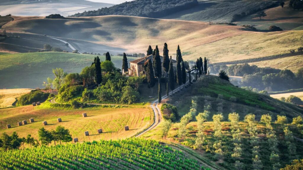 Rolling hills and vineyards around Montalcino, home of Brunello di Montalcino