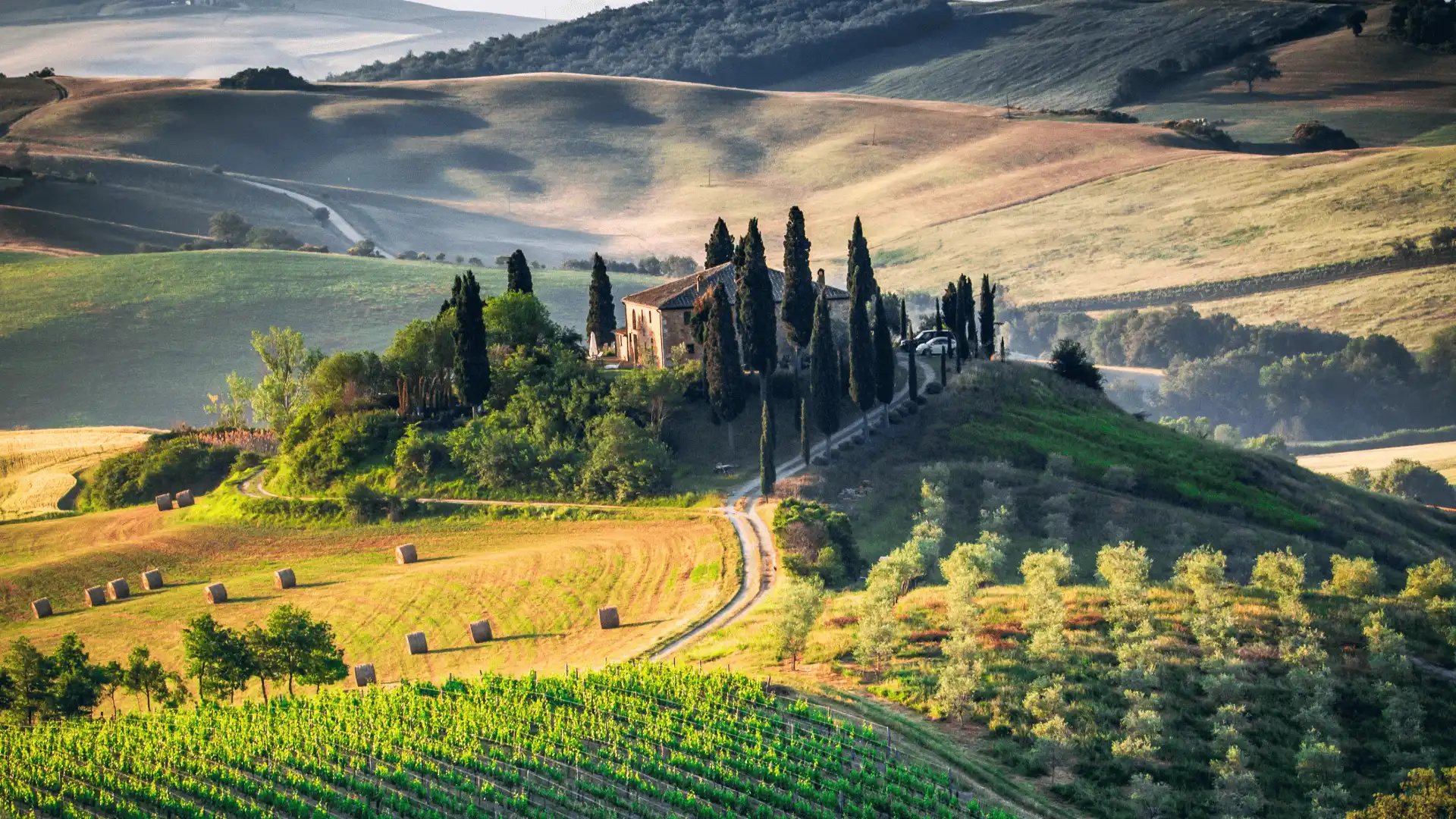 Rolling hills and vineyards around Montalcino, home of Brunello di Montalcino