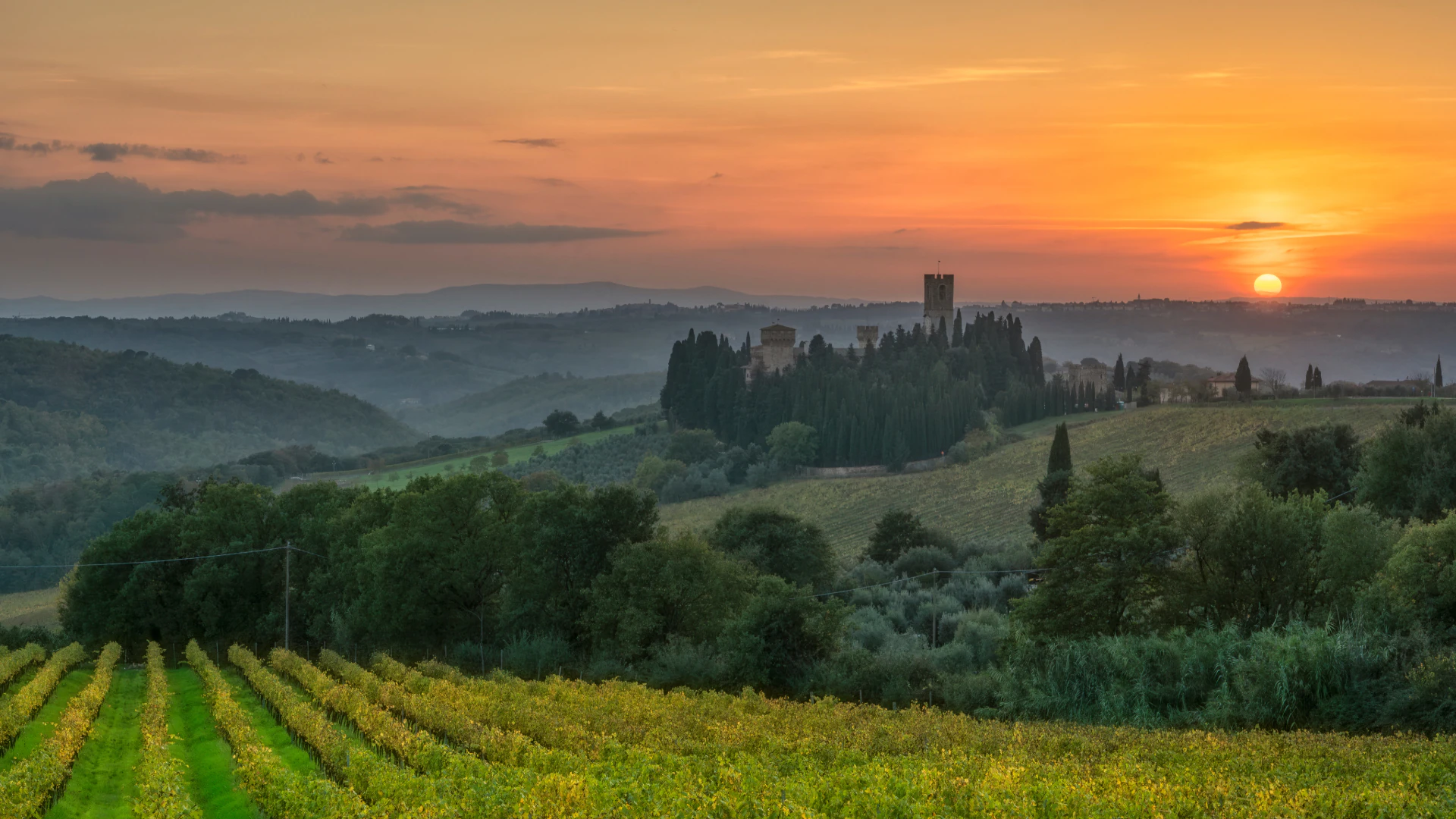 Chianti Classico vineyards at sunset below a historic abbey tower