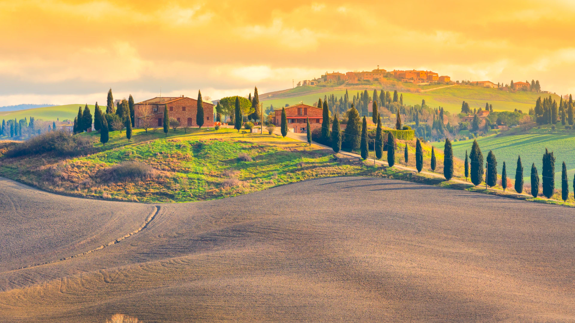 Tuscan farmhouse with cypresses at golden hour