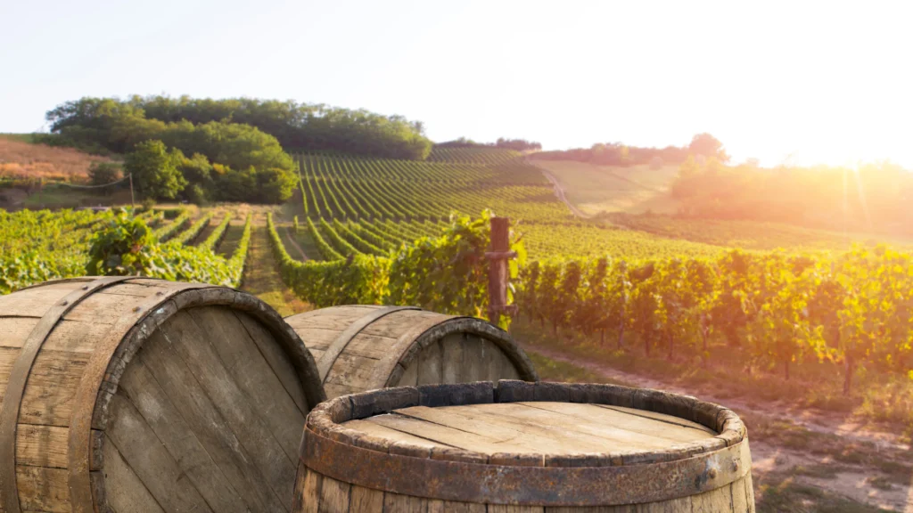 Oak barrels beside a Tuscan vineyard at golden hour, where Super Tuscan wines age