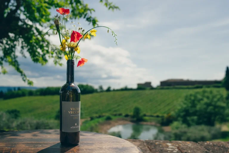 Bottle of Chianti Classico overlooking the vineyards