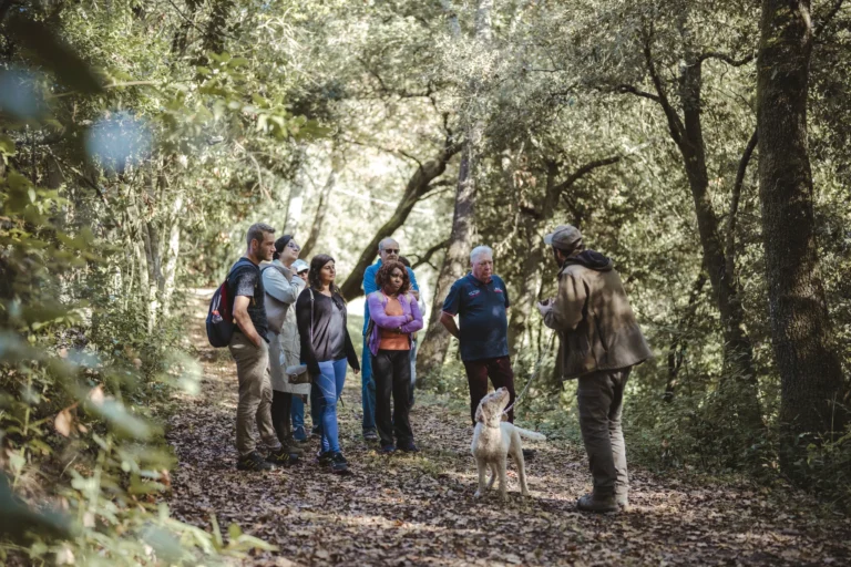 Truffle hunting walk in the woods near San Gimignano