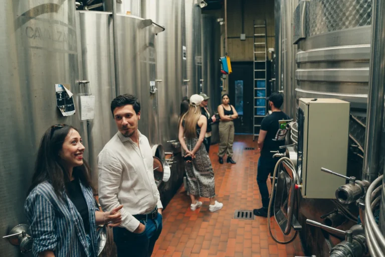 Winery tour among the steel fermentation tanks