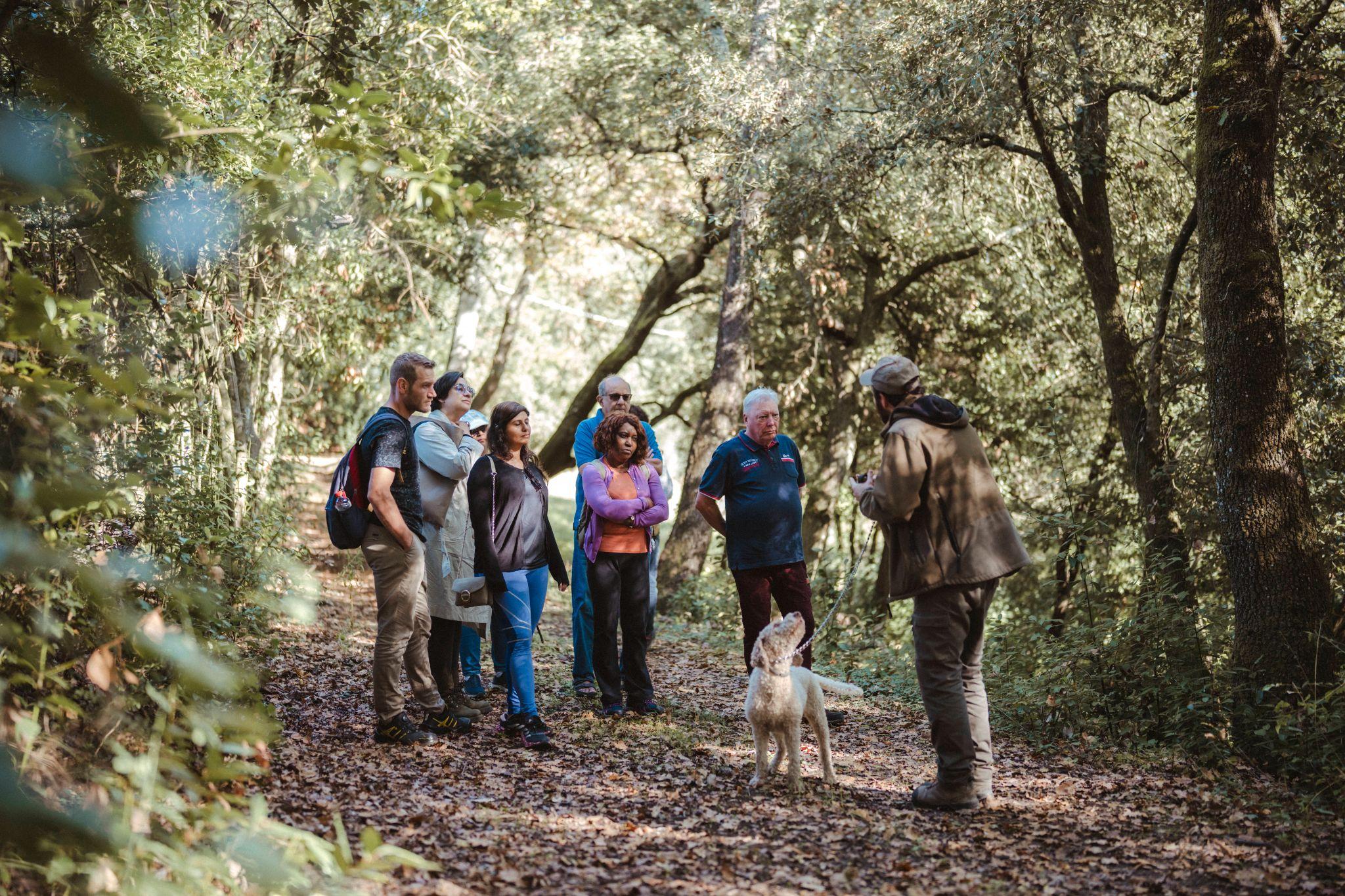 Truffle hunter with his curly dog on a leash talking to a group of guests on a leafy woodland path